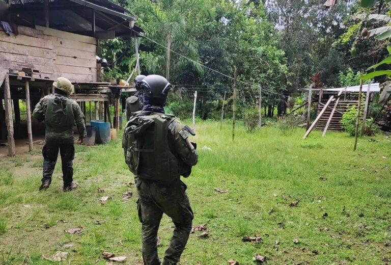 $!En el sector de Manzoya, en el cantón Putumayo, en Sucumbíos, el Ejército descubrió una plantación de 2,5 hectáreas de hoja de coca. Foto cortesía Ejército.