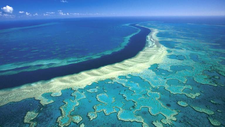 La Gran Barrera de Coral busca recuperar su esplendor en 2050