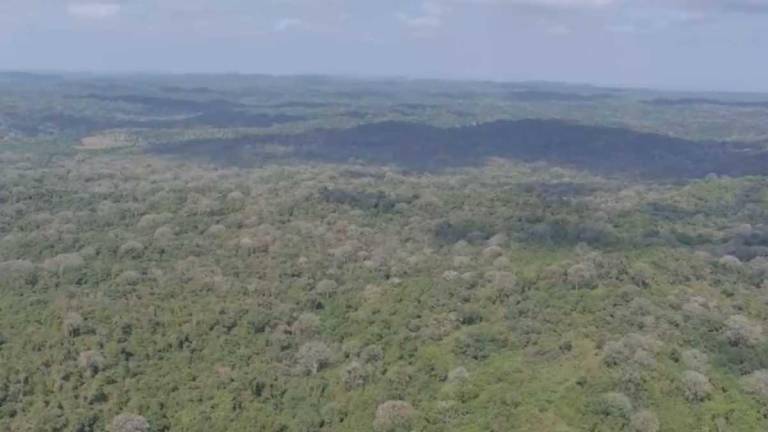 Cárcel de Santa Elena: ¿se construye en una área de conservación?