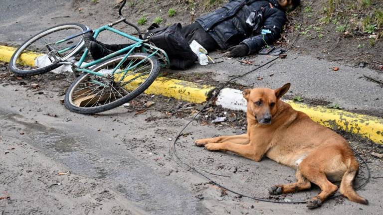 Video muestra el instante en que un ciclista es asesinado por tropas rusas en Bucha, 'la calle de la muerte'