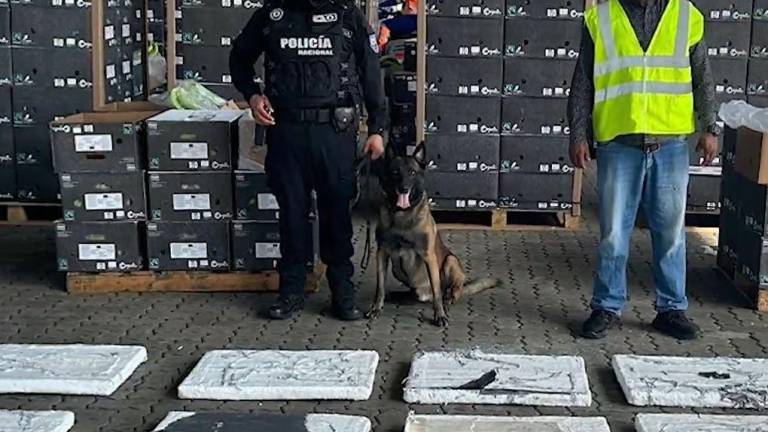 Cerca de 158 kilos de cocaína con destino a Alemania fueron descubiertos dentro de contenedor en Posorja