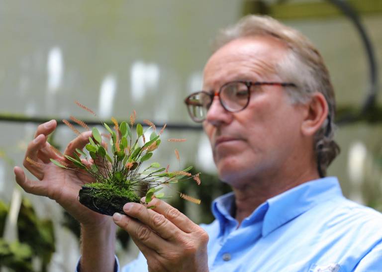 $!Daniel Piedrahita muestra su colección de orquídeas en La Ceja, provincia de Antioquia, Colombia, el 20 de junio de 2024.