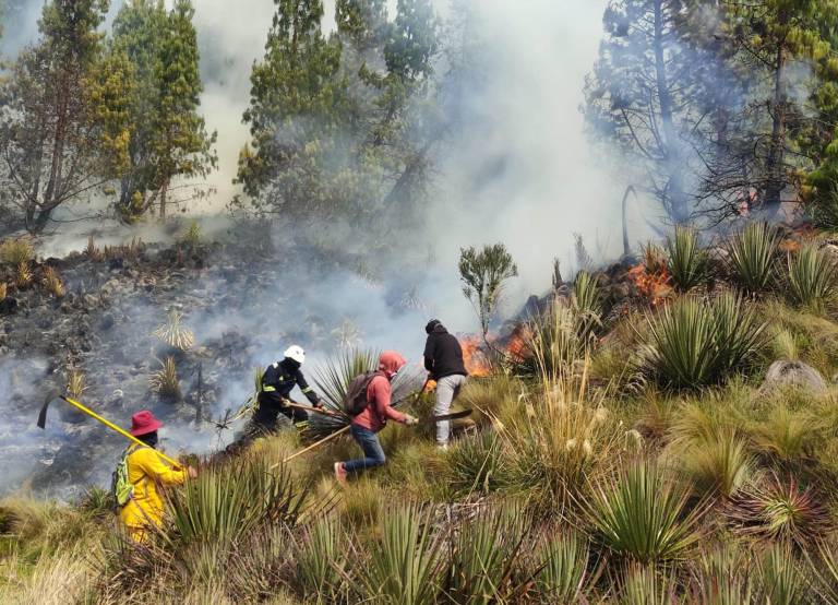 $!Pobladores de la zona y bomberos colaboran para apagar las llamas.