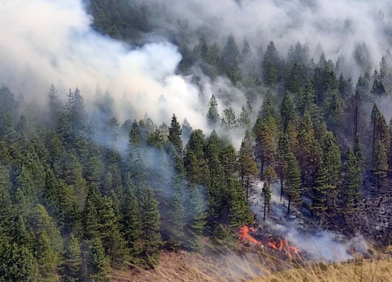 $!Fotografía que captó el avance del fuego entre el bosque nuboso.