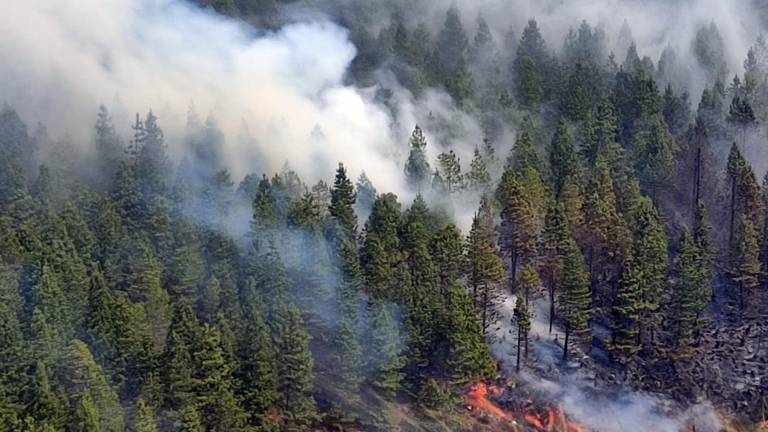 Incendios en Cuenca y Loja: Piden donaciones a la ciudadanía por emergencia en el Parque Nacional Cajas