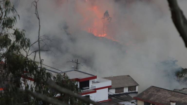 Incendios forestales en Quito: Daniel Noboa dispone movilización de 'todo el contingente necesario' ante emergencia