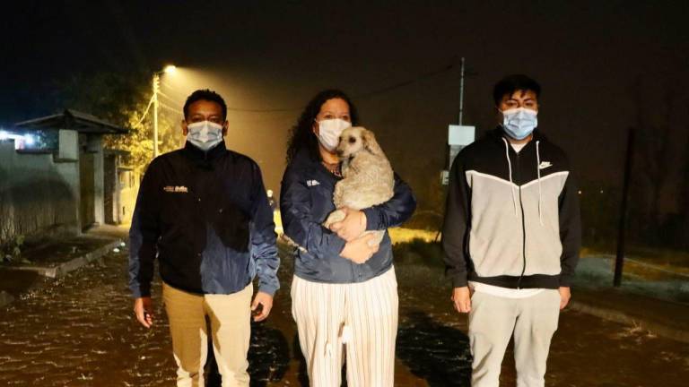 Equipo de la UBA dando atención a un perrito que se encontraba en los incendios de Quito.