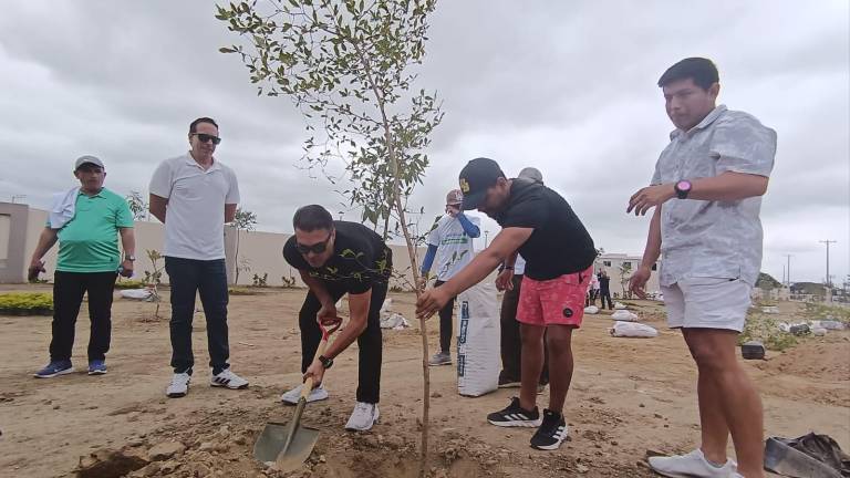 Iniciativa contribuye con el crecimiento del espacio verde urbano en Guayaquil