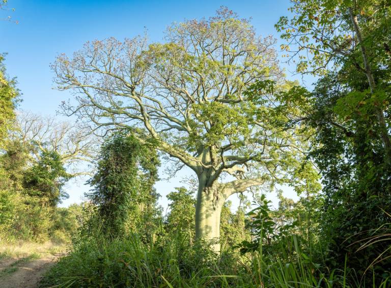 $!Destinos naturales en Guayaquil: ¿cuáles visitar en estas fiestas?