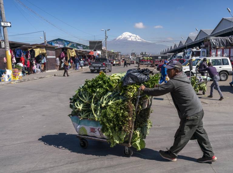 $!La agricultura y ganadería son la tercera actividad económica que más ingresos genera al país.