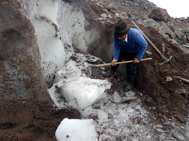 $!Ushca picando un bloque de hielo en las laderas del Chimborazo.