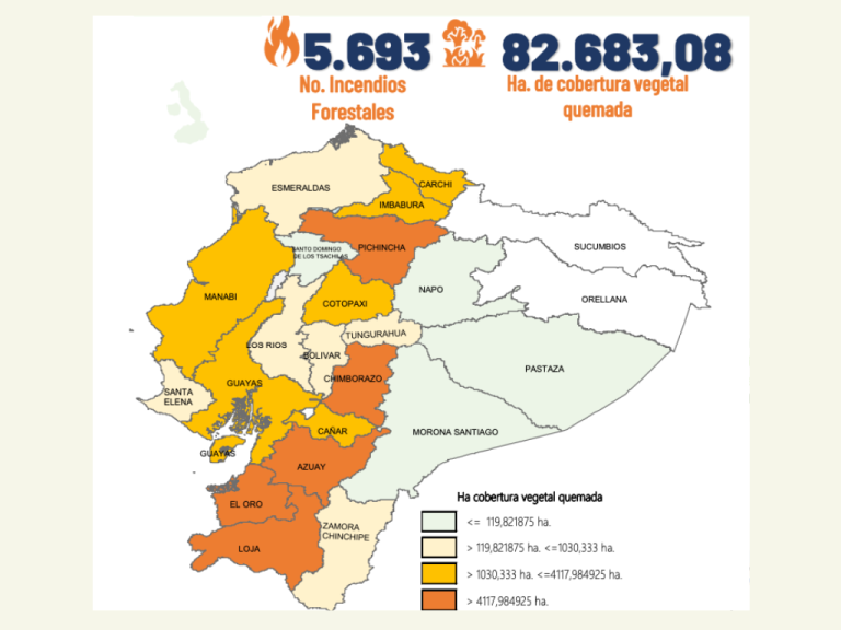 $!Número de incendios forestales y hectáreas afectadas desde enero hasta el 09 de diciembre del 2024.