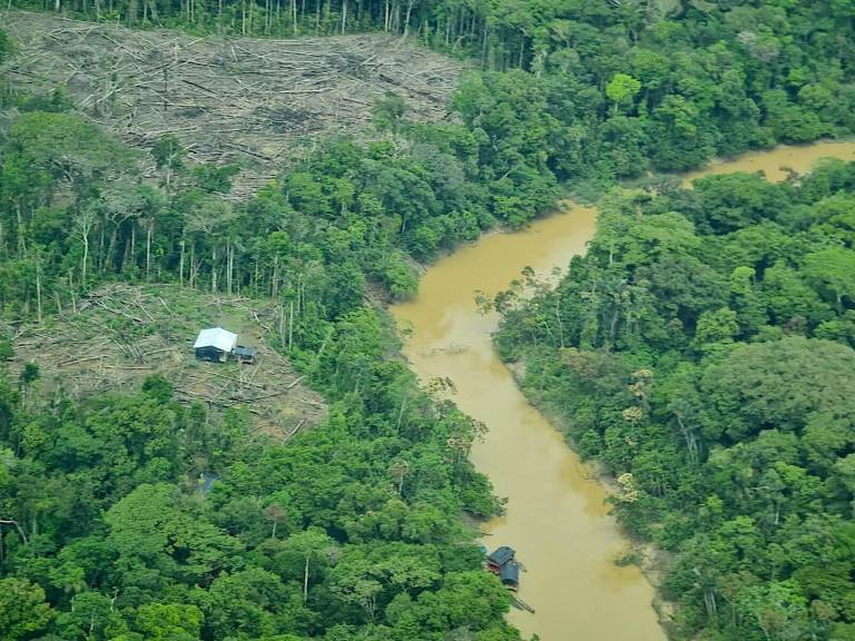 $!AVANCE ILEGAL. Los cultivos de hoja de coca amenazan la zona de amortiguamiento del Parque Nacional Yaguas.