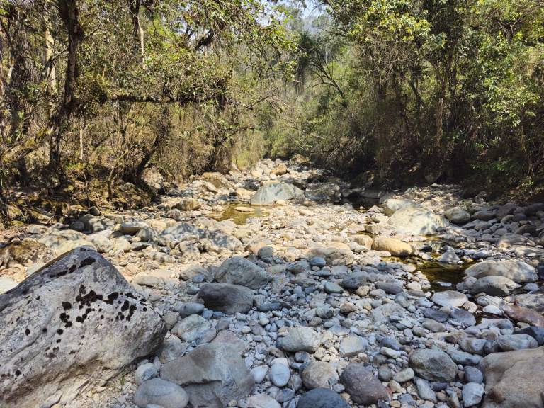 $!Los 123 días de sequía hidrológica se reflejan con el estado del río Culebrillas que abastece en parte a la Planta de El Cebollar.