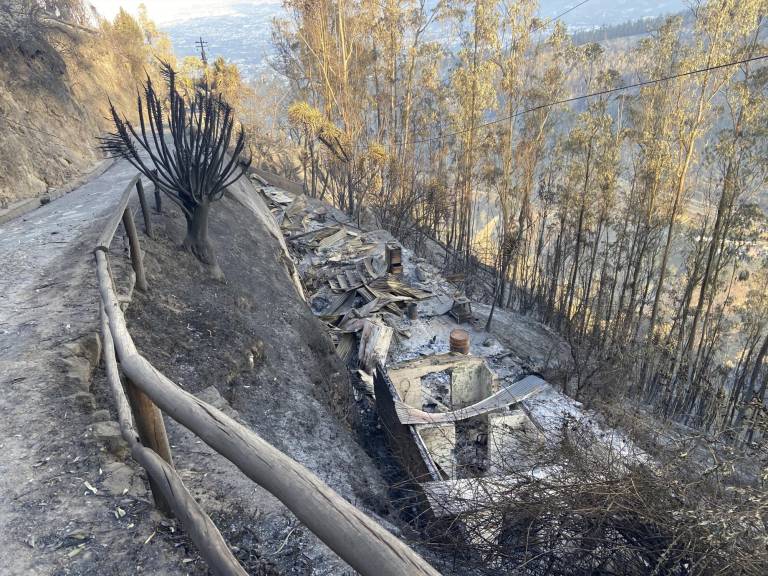 $!Fotografía de las casas y vegetación quemada por el incendio forestal del 24 de septiembre en Guápulo, Quito.