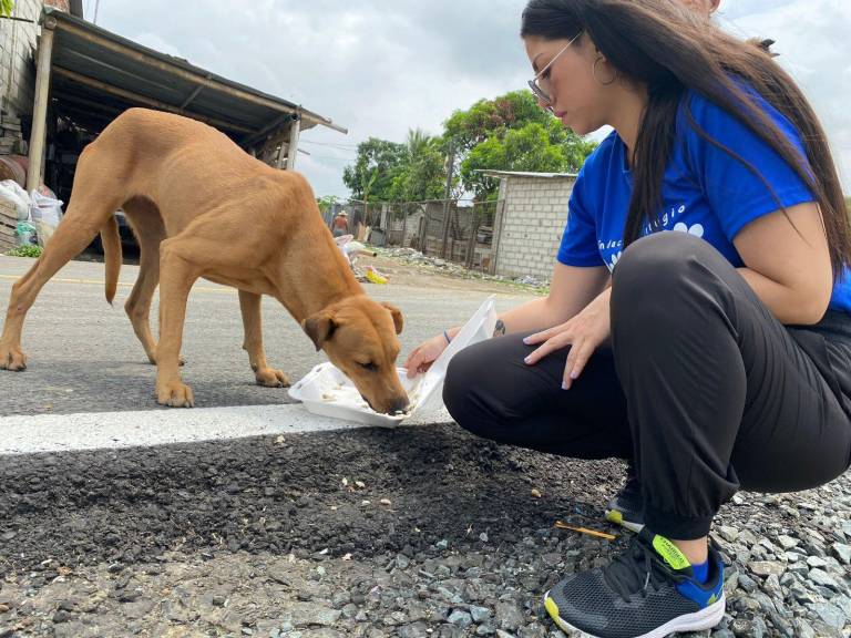 $!Katiuska alimentando a un perrito que encontró en la calle.