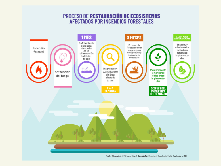 $!Plan de restauración para los ecosistemas afectados por incendios forestales en Ecuador.