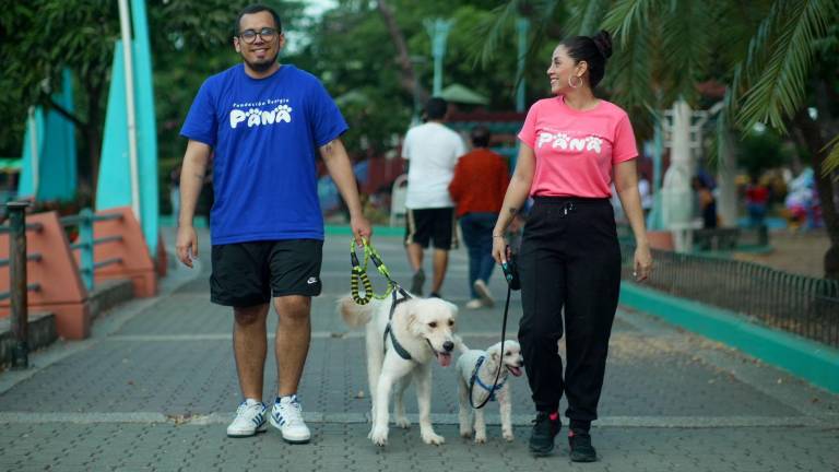 Fundación Refugio Pana, al rescate de perros y gatos que han sufrido maltrato en Guayaquil