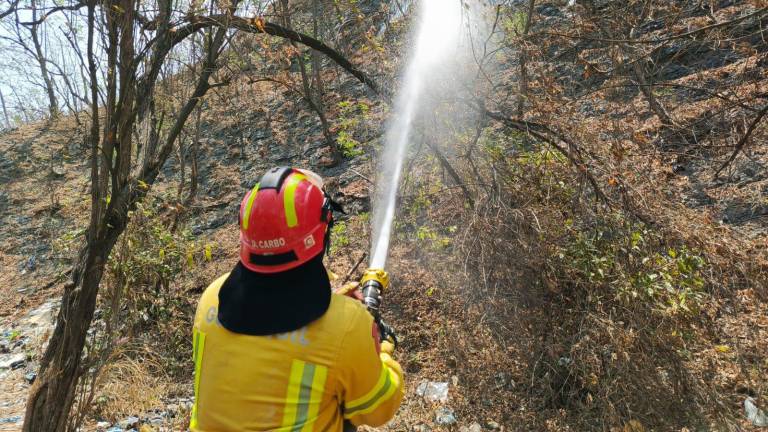 Incendio en Cerro Azul: Ministerio de Educación extiende clases no presenciales en 295 escuelas