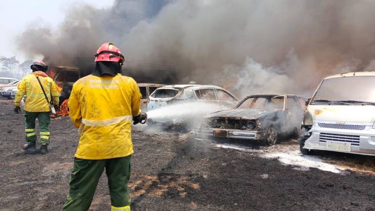 Incendio forestal cerca del Parque Samanes obliga a evacuar colegio en Guayaquil; Ministerio de Educación suspende clases