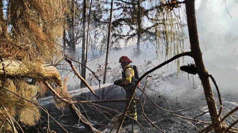 Un nuevo incendio en el norte Quito generó preocupación para los residentes