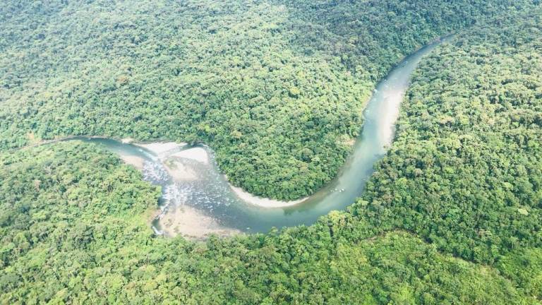 Hallan los cuerpos de tripulantes de avioneta siniestrada en la Amazonía