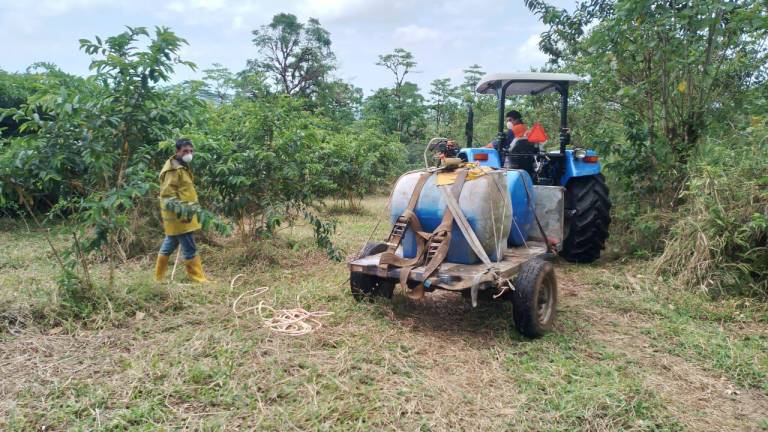 Las organizaciones implementaron un cronograma para que los productores puedan alquilar el equipo para la labranza de sus parcelas.