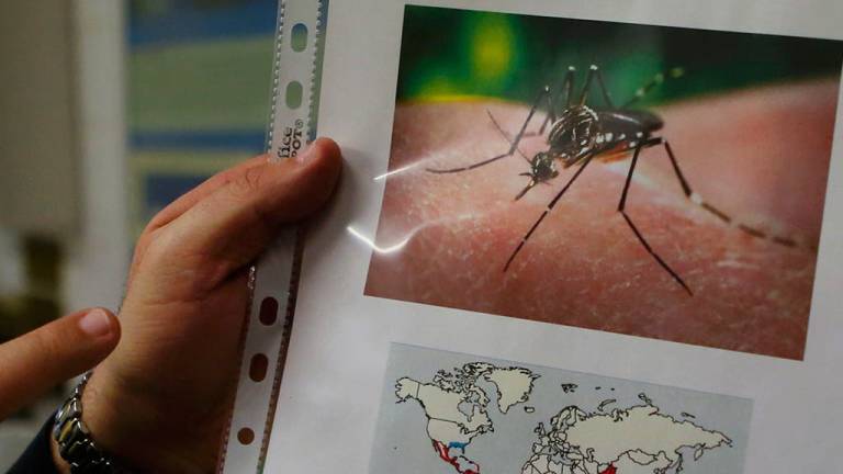 En Ecuador se confirman 53 casos de Zika
