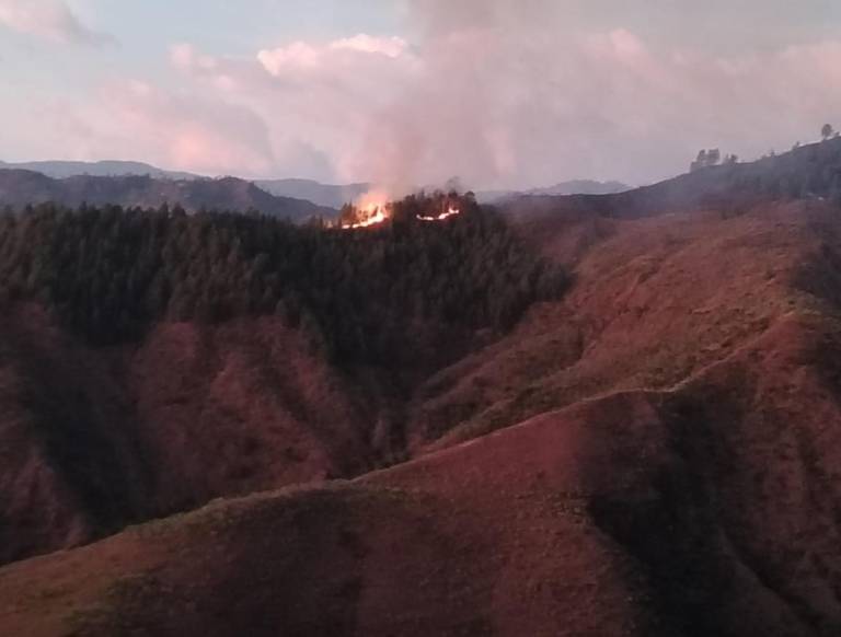 $!El incendio forestal se extendió a 345 hectáreas del área verde de Quilanga.