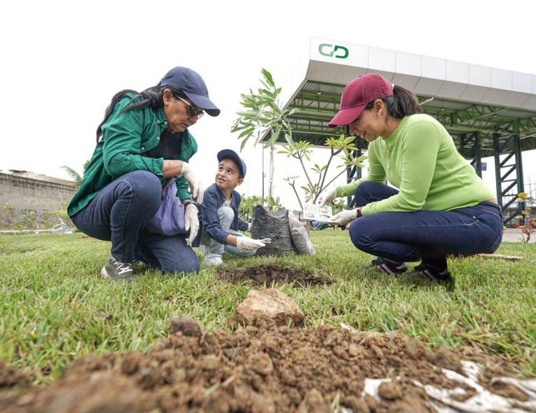 $!Grupo DIFARE promueve jornadas de reforestación donde participan los colaboradores y sus familiares.