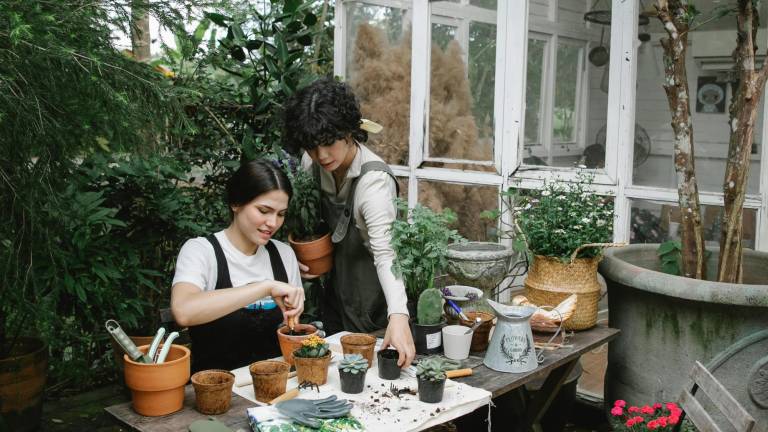 Comenzar tu vivero caso fomenta la autosuficiencia y ahorro económico, dado que facilitan la producción de alimentos frescos y libres de químicos.