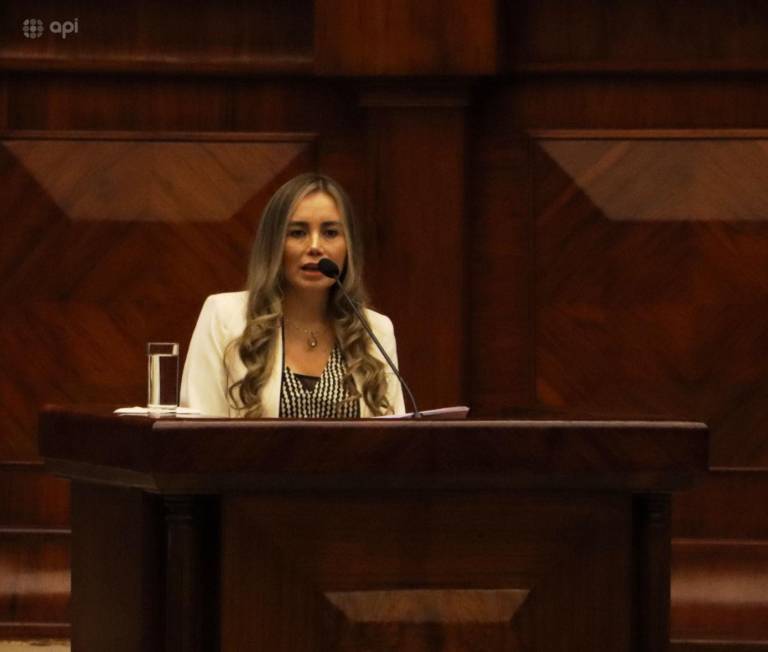 $!Maribel Barreno presentando sus alegatos de defensa ante los legisladores.