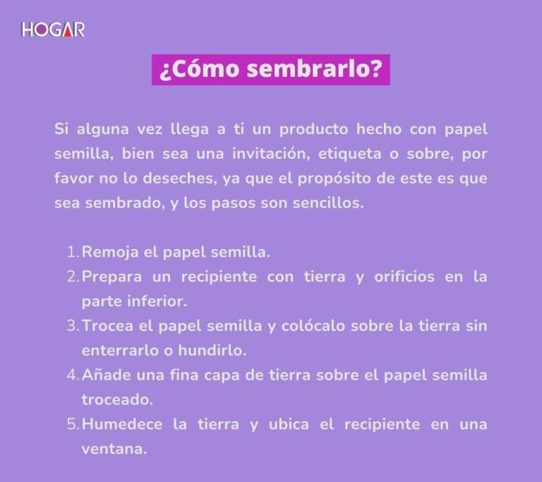 $!Estos es el procedimiento que debes seguir para sembrar el papel semilla.