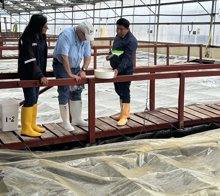 $!El programa Scale Up busca mejorar las prácticas y reducir el consumo de energía, agua y otros recursos en los laboratorios de larvas.