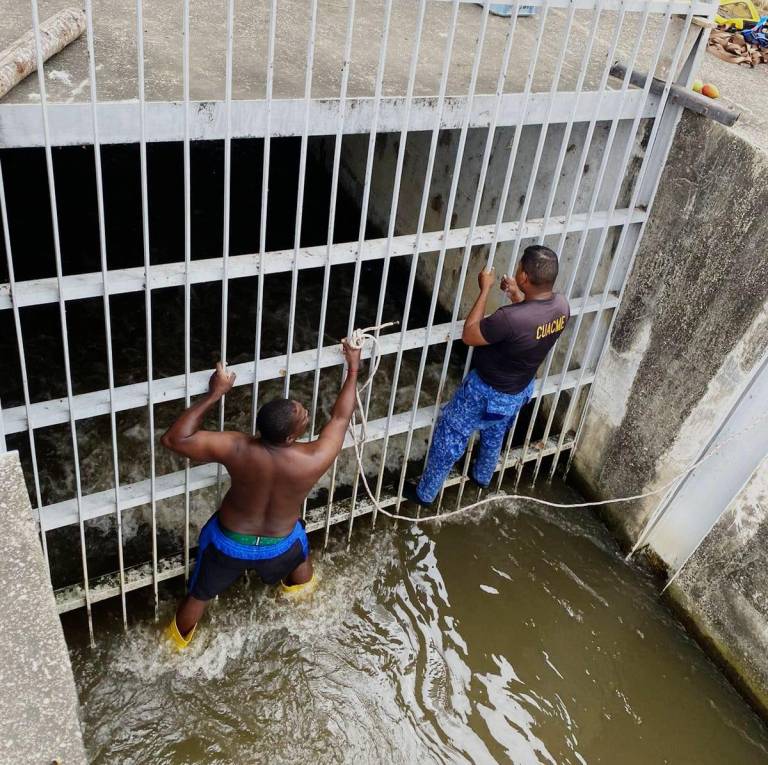 $!Agentes de Segura EP realizando el rescate del perro.