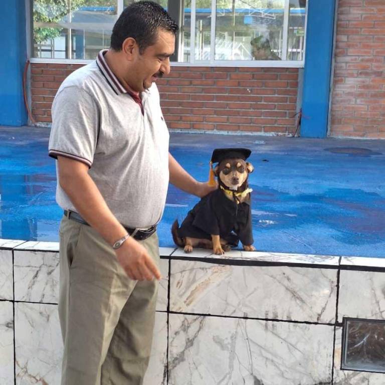 $!Foto: Colegio de Estudios Científicos y Tecnológicos del Estado de Guanajuato (Cecyteg)