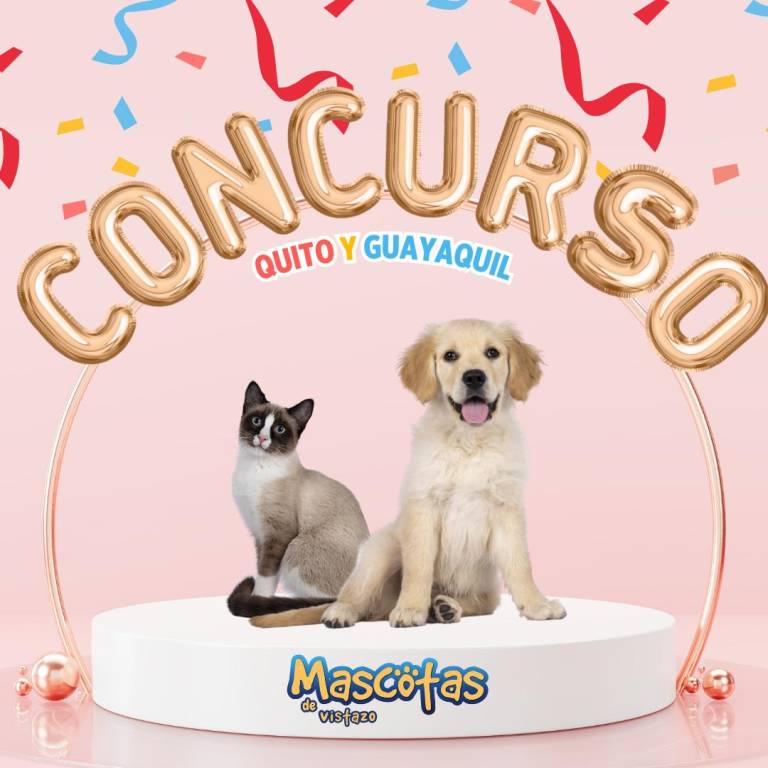 $!Concurso para Quito y Guayaquil.