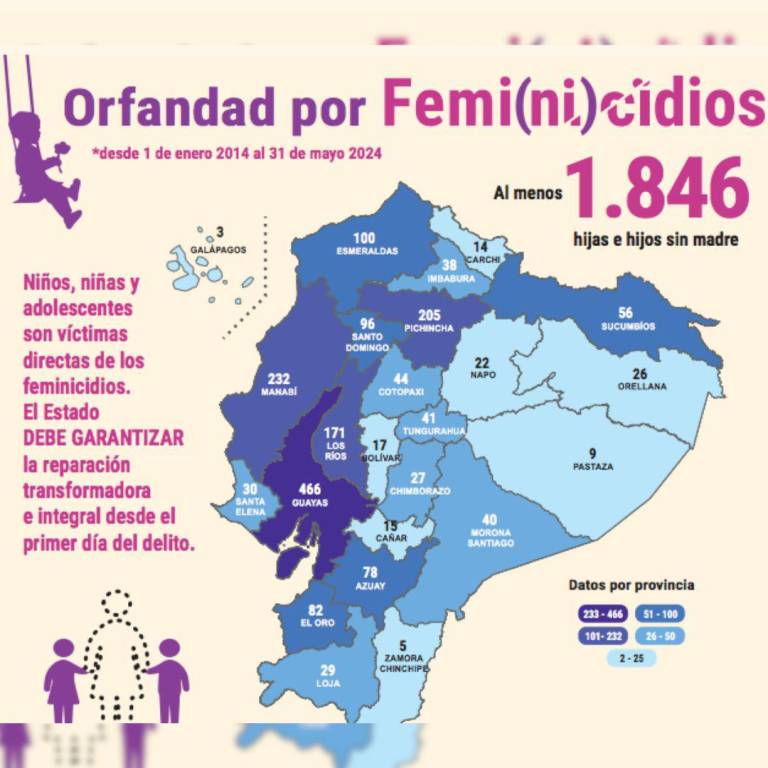 $!Datos del informe 'Esperando el verano: trayectorias de los niños, niñas y adolescentes víctimas de femicidio en Ecuador’.