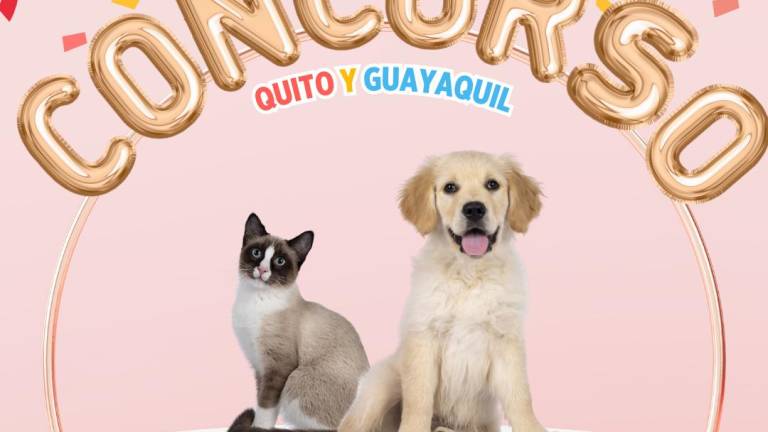 ¡Participa en el concurso de Mascotas de Vistazo en Quito y Guayaquil!