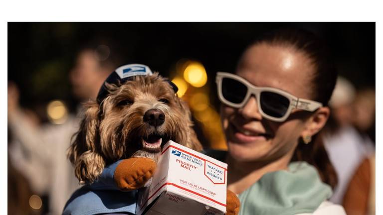 Un perrito disfrazado de repartidor de paquetes junto a su tutora.