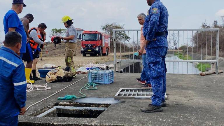 Rescate heroico en Lago de Capeira, Guayaquil: un perrito atrapado en un estanque es salvado por agentes municipales y bomberos