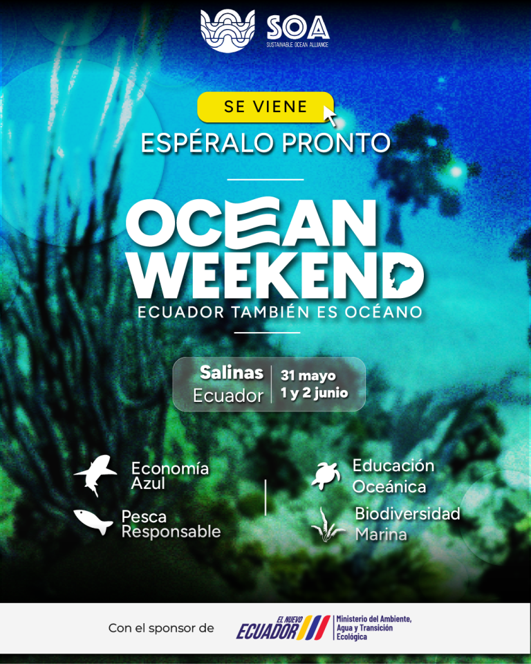 $!Ocean weekend en Ecuador: evento abierto al público para quienes buscan proteger los oceános