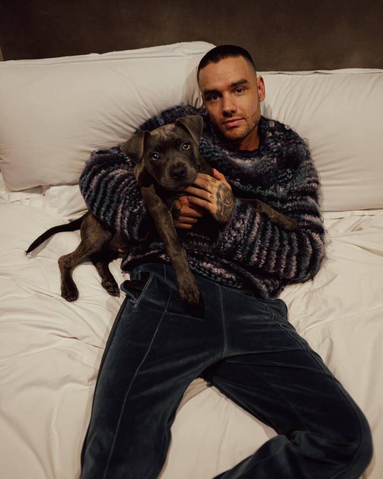 $!Foto de liam payne con su mascota, una de las imágenes que el artista tenía publicada en su feed de Instagram.