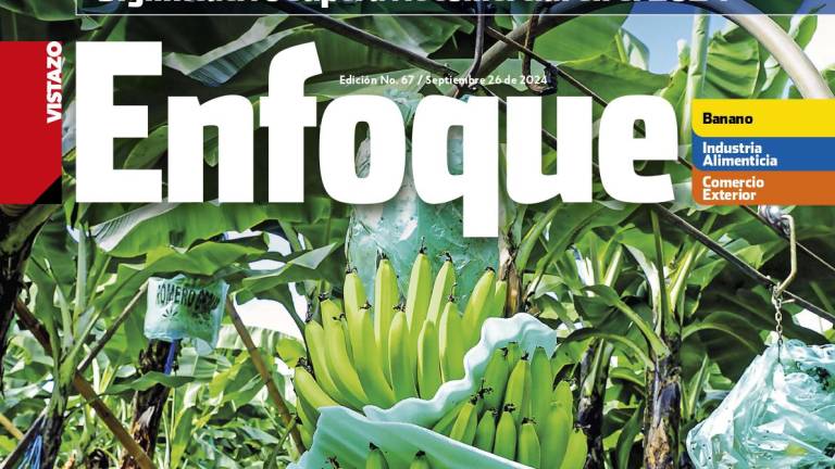 Revista Enfoque Edición 67 septiembre 2024