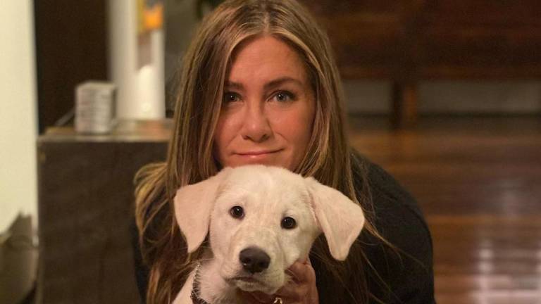 Jennifer Aniston está lista para encontrar pareja