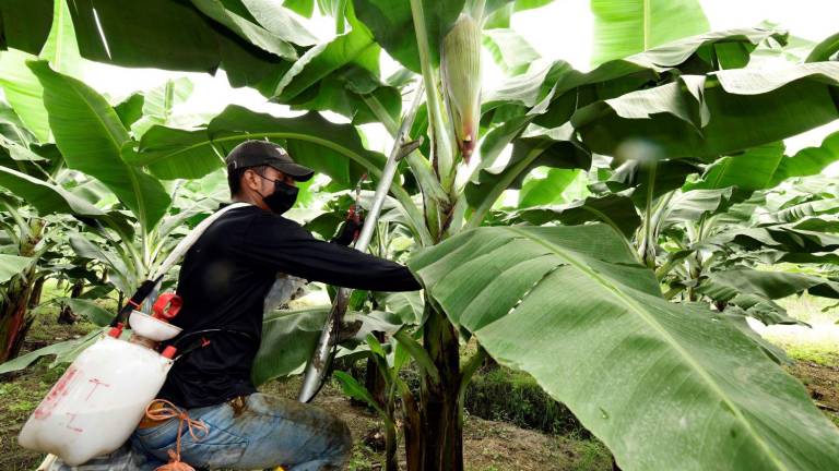 Los insumos agrícolas se adaptan a las normativas ecológicas