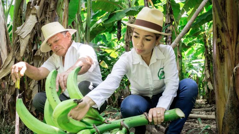 El emprendimiento de chifles que pasó de una estructura de caña a ganar $200.000 anuales