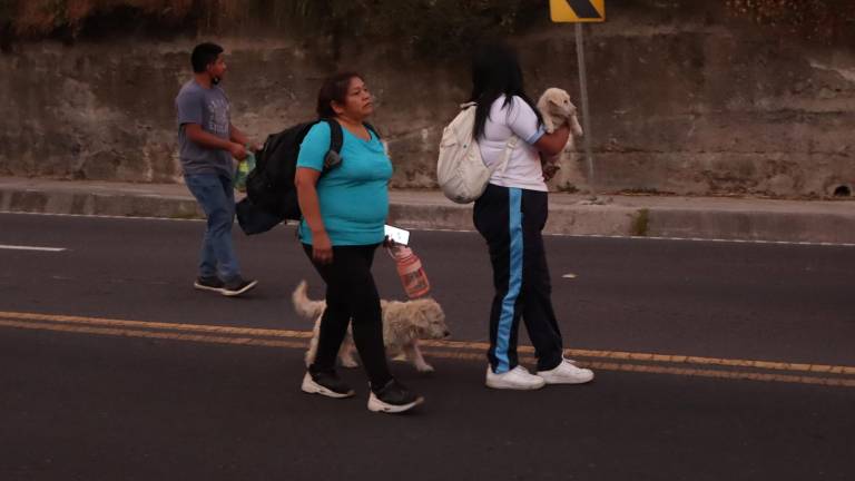 Ministerio de Educación extiende clases no presenciales en Quito por 48 horas más debido a los incendios