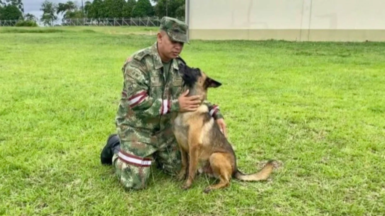 Guía del perro Wilson no pierde la esperanza y continúa buscándolo en la selva