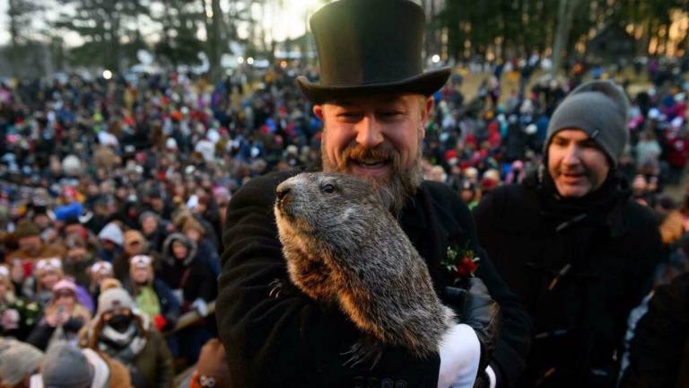 La marmota meteorológica predice otras seis semanas de invierno en Estados Unidos